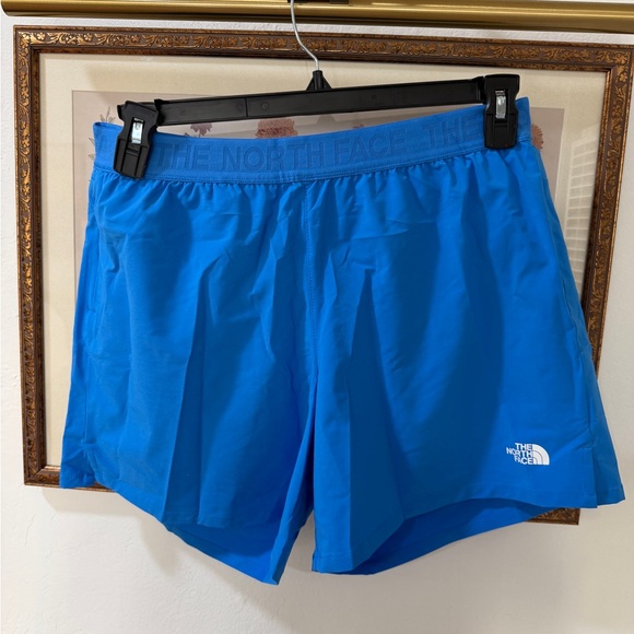 The North Face Pants - The North Face Bright Blue Running Shorts